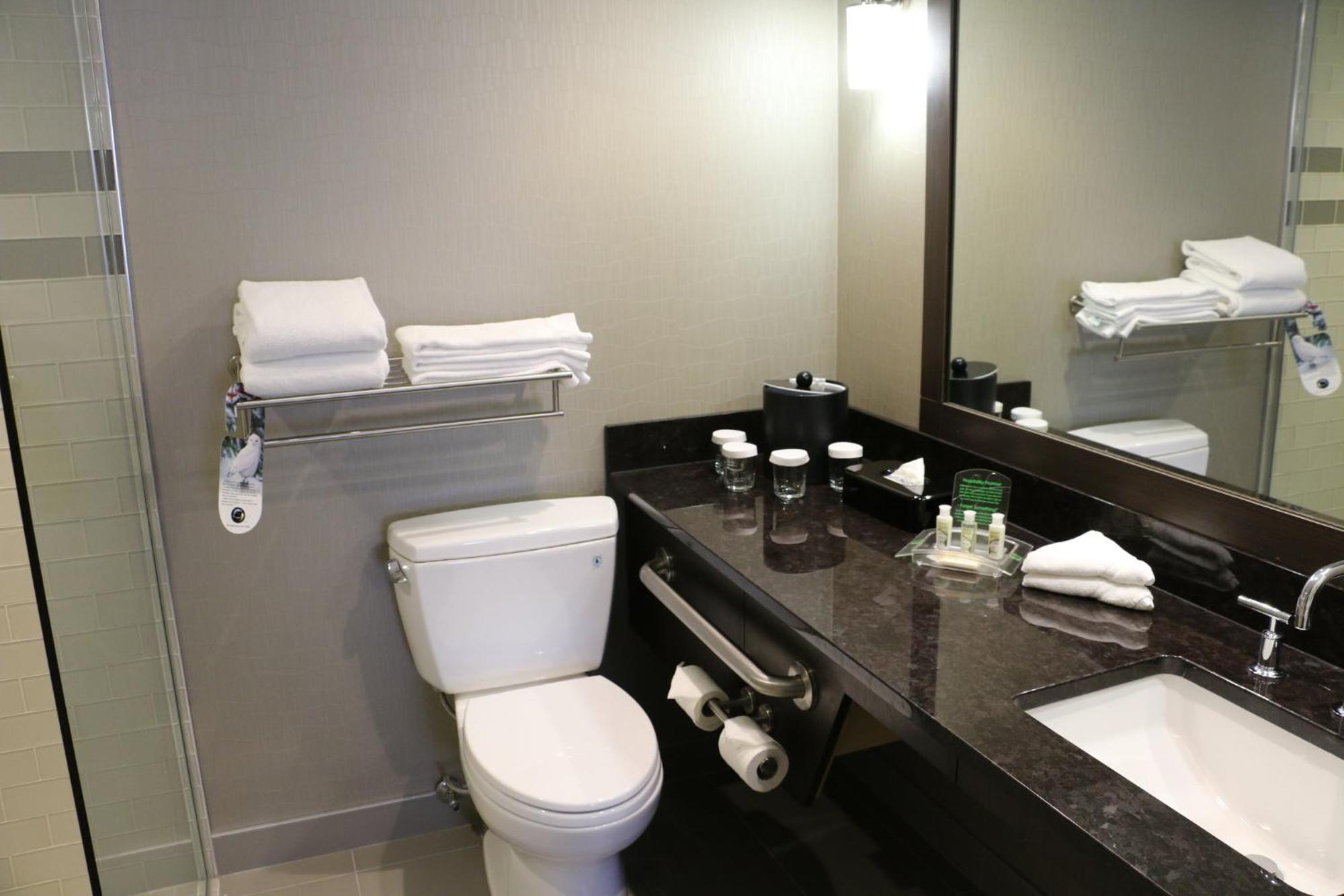 Holiday Inn Calgary Airport By Ihg Екстериор снимка